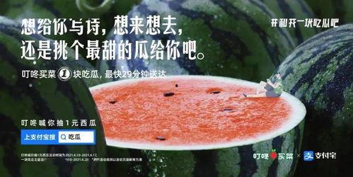 可以吃瓜文案,一起来吃瓜吧！